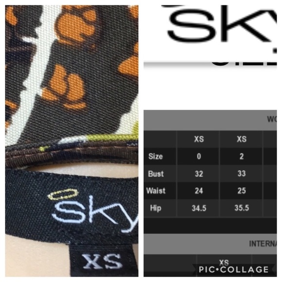 Skye Fall Colors Paisley Top w/ Statement Belt - Picture 8 of 8